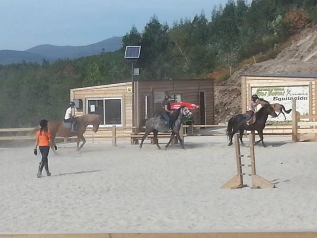  Horseback riding classes in our horse riding school 